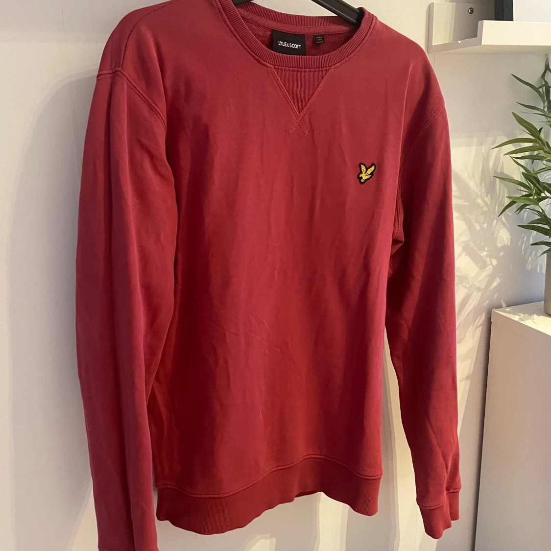 Röd crewneck från Lyle & Scott