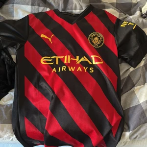 Manchester City Puma fotbollströja S - Säljer en officiell Manchester City fotbollströja från Puma i storlek S. Tröjan har svarta och röda diagonala ränder, gula detaljer och klubbmärke på bröstet. Materialet är lätt och andas, perfekt för match eller träning. Klassisk V-ringning och korta ärmar.