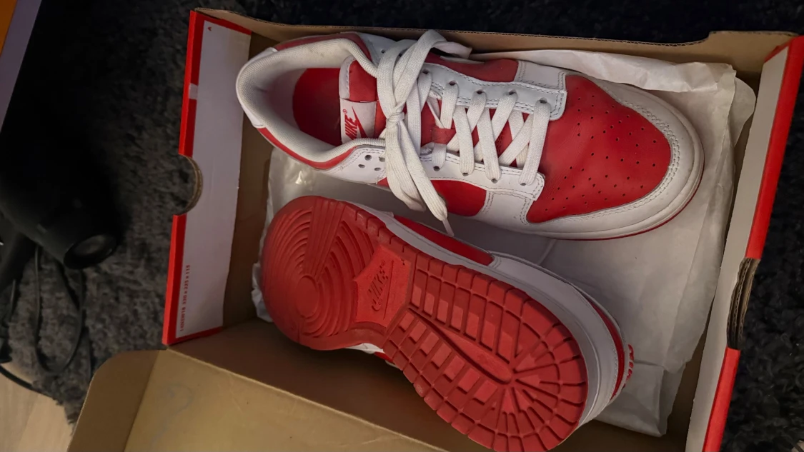 Nike Dunk Low Retro University Red & White (43) - 2