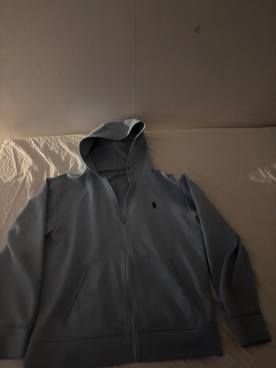 Ljusblå hoodie från Polo Ralph Lauren