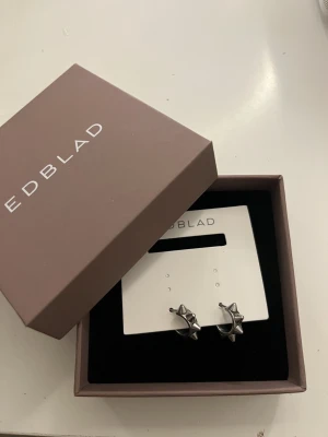 Peak örhängen från edblad - Säljer då de inte används längre!