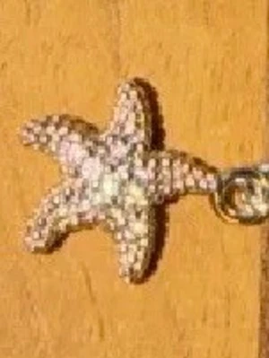 Berlock sjöstjärna  - H