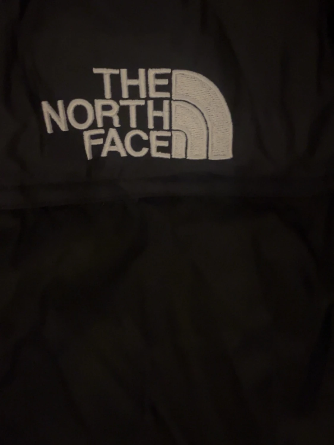 Svart dunjacka från The North Face - 1