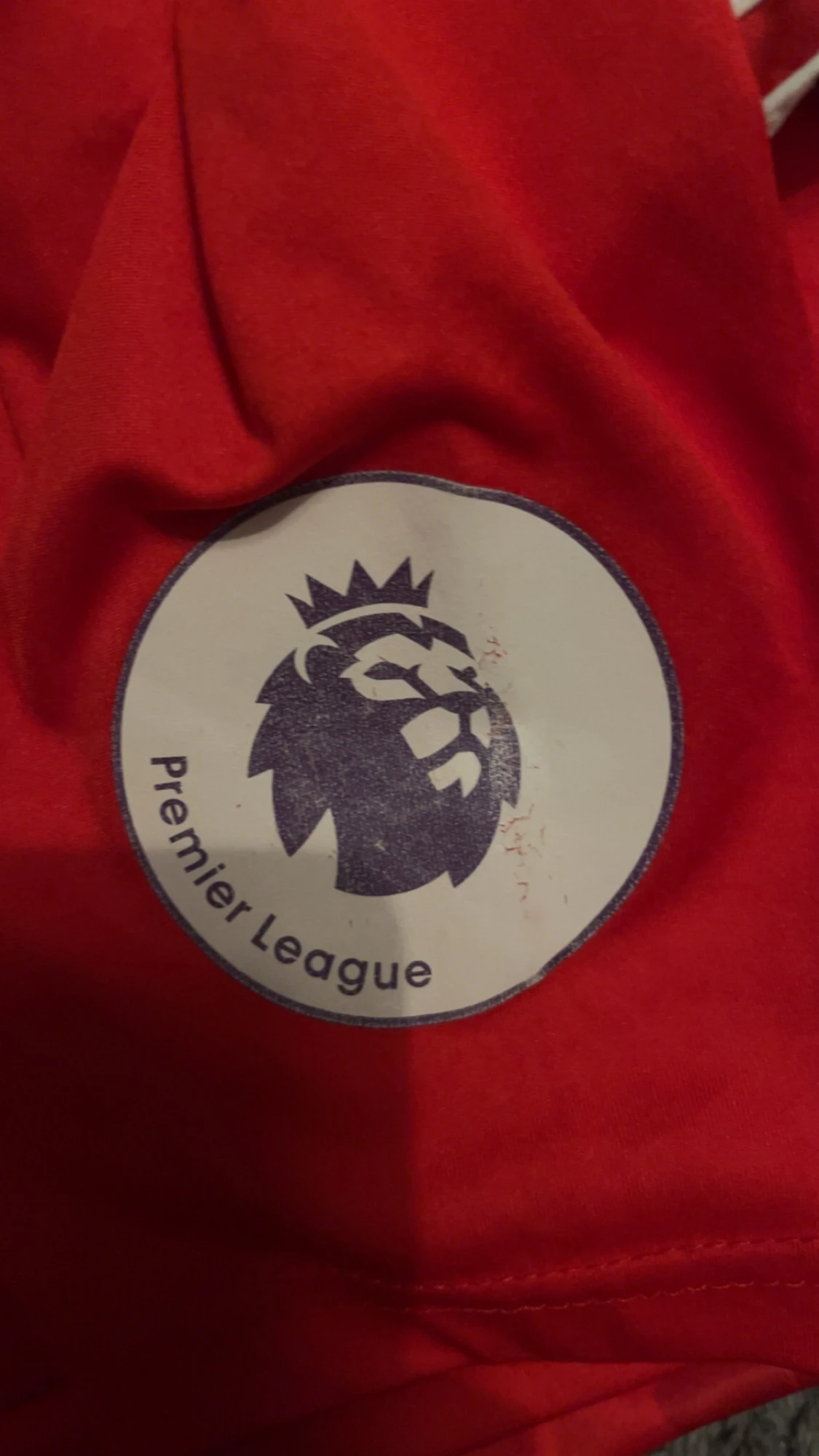 Manchester United Ibrahimovic #9 tröja - 2