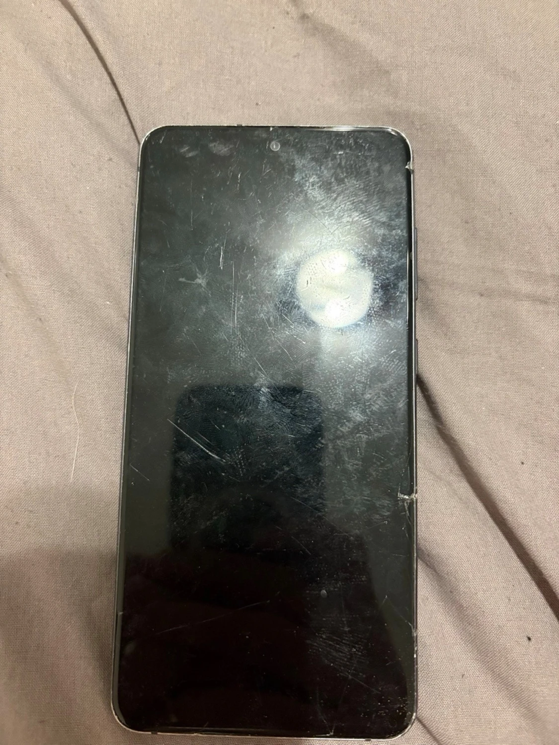 Samsung Galaxy S21 FE 5G