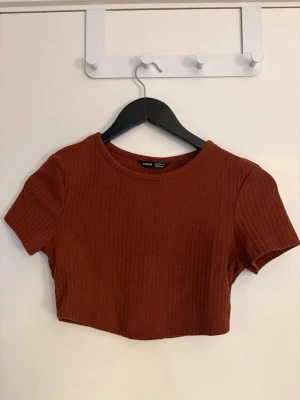 Dam brun ribbad croppad topp  - Kortärmad croppad topp från Shein i en snygg brun färg i storlek XS. Toppen är ribbad och har rund halsringning. Perfekt till höstens outfits och enkel att matcha med både jeans och kjol. Aldrig använd.