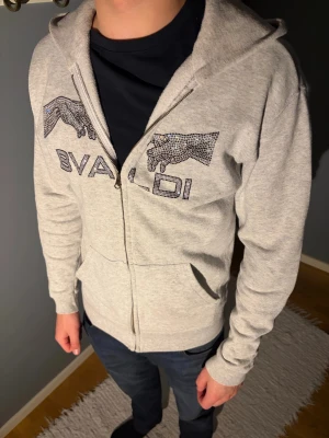Grå hoodie från BVALDI med stenar - Ljusgrå hoodie från BVALDI med glittrande stenar och logga framtill. Tröjan har huva, dragkedja och fickor på magen. Perfekt för dig som gillar en chill och snygg stil. Passar till jeans eller joggers.