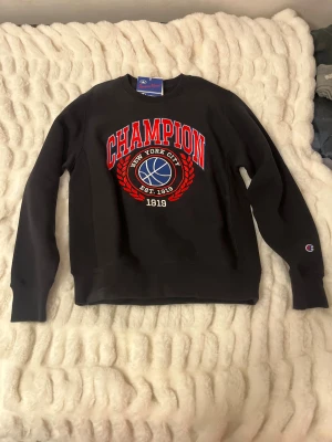 En Champion sweater  - En hel ny Champion sweater med med prislapp. Den har inga defekter och skriv ner funderingar eller prisförslag 