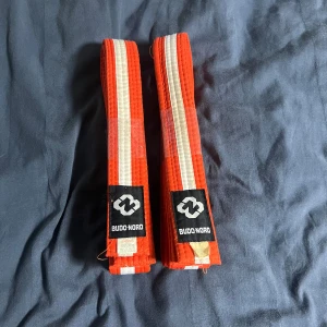 Rödvitt randigt bälte Budo-Nord 240cm - Säljer ett rödvitt randigt bälte från Budo-Nord, perfekt för kampsport. Bältet är 240 cm långt och har en klassisk design med breda röda och smala vita ränder. Tillverkat i en mix av bomull och polyester för både slitstyrka och komfort.