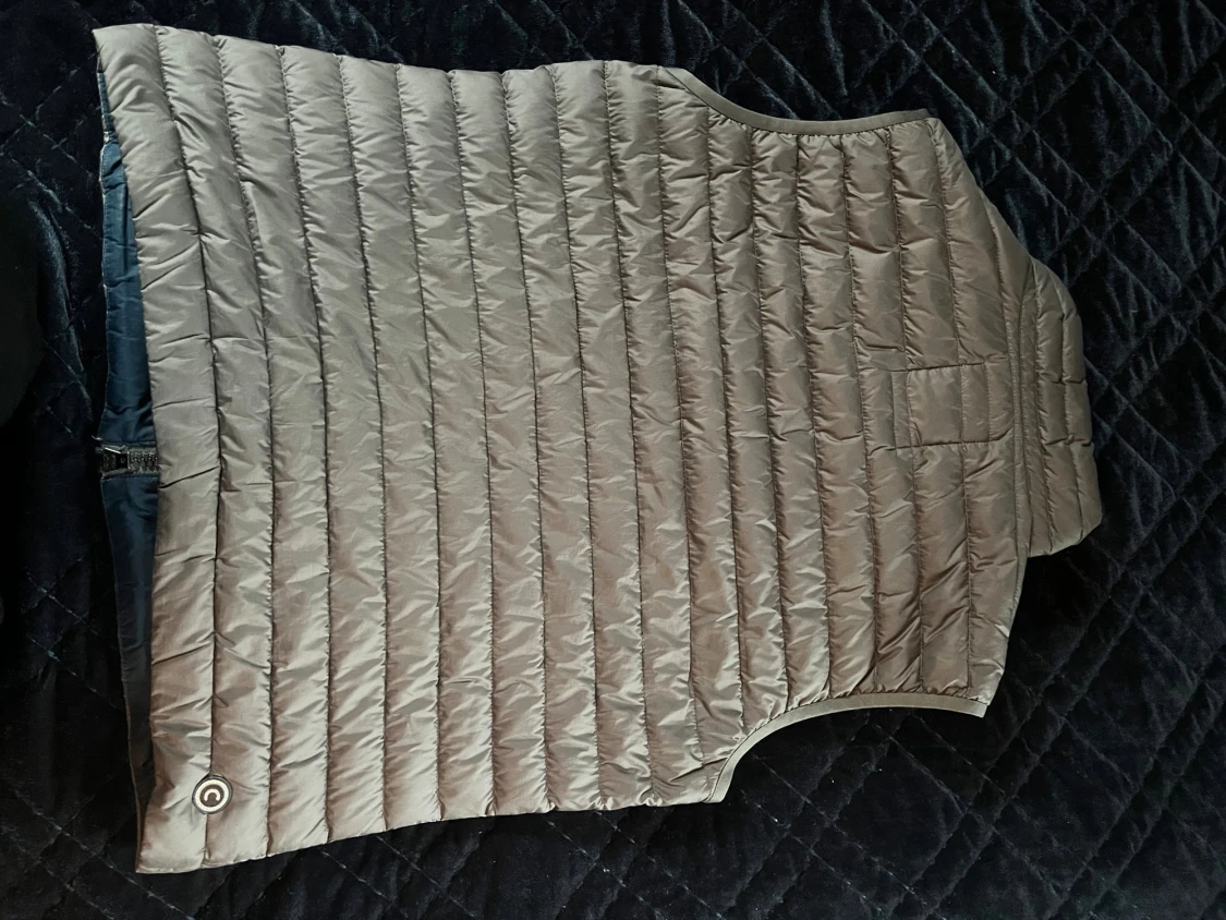 SÄLLSYNT Colmar väst - 1