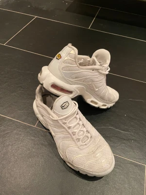 Nike air max Tns - Fina men andvända Tns i storlek 39. Riktigt nice skor.      Köp gärna genom vinted: vilgot1243