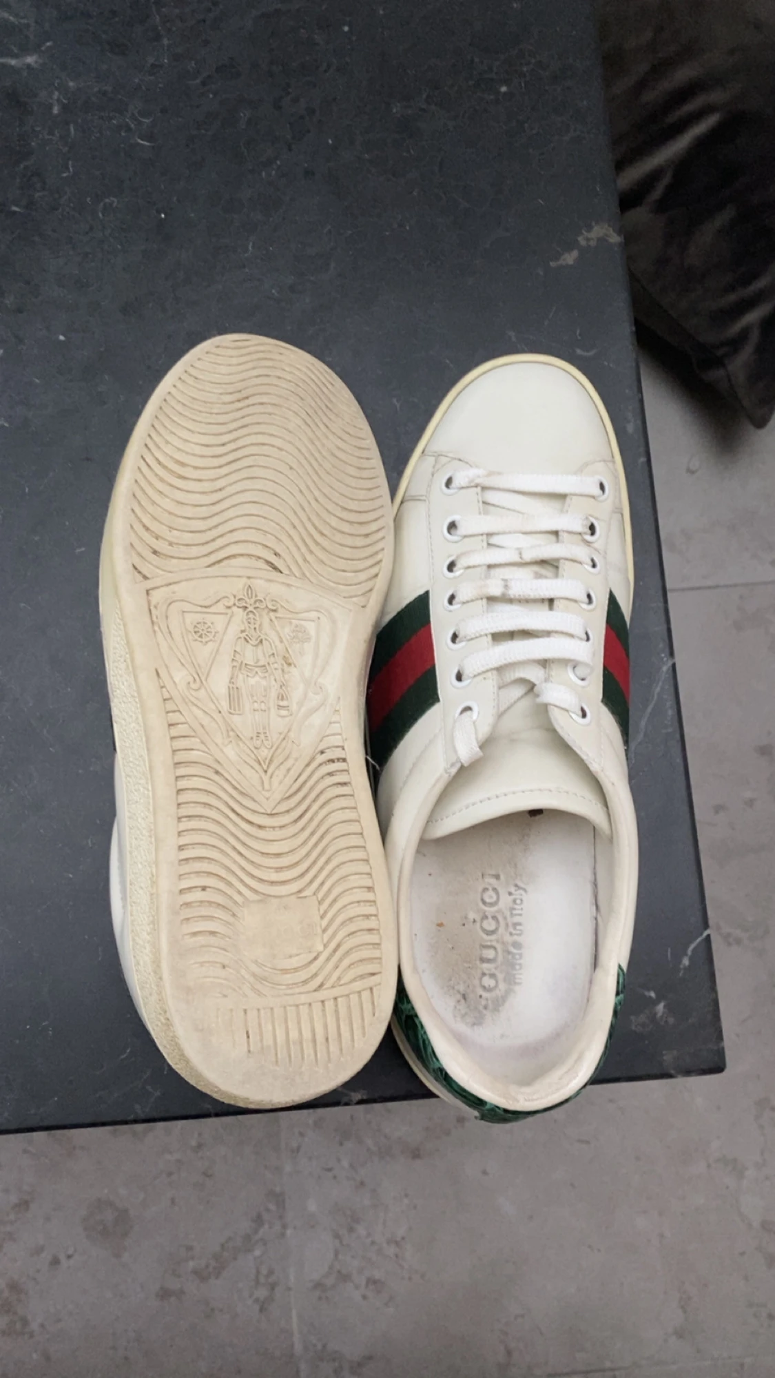 Gucci ace