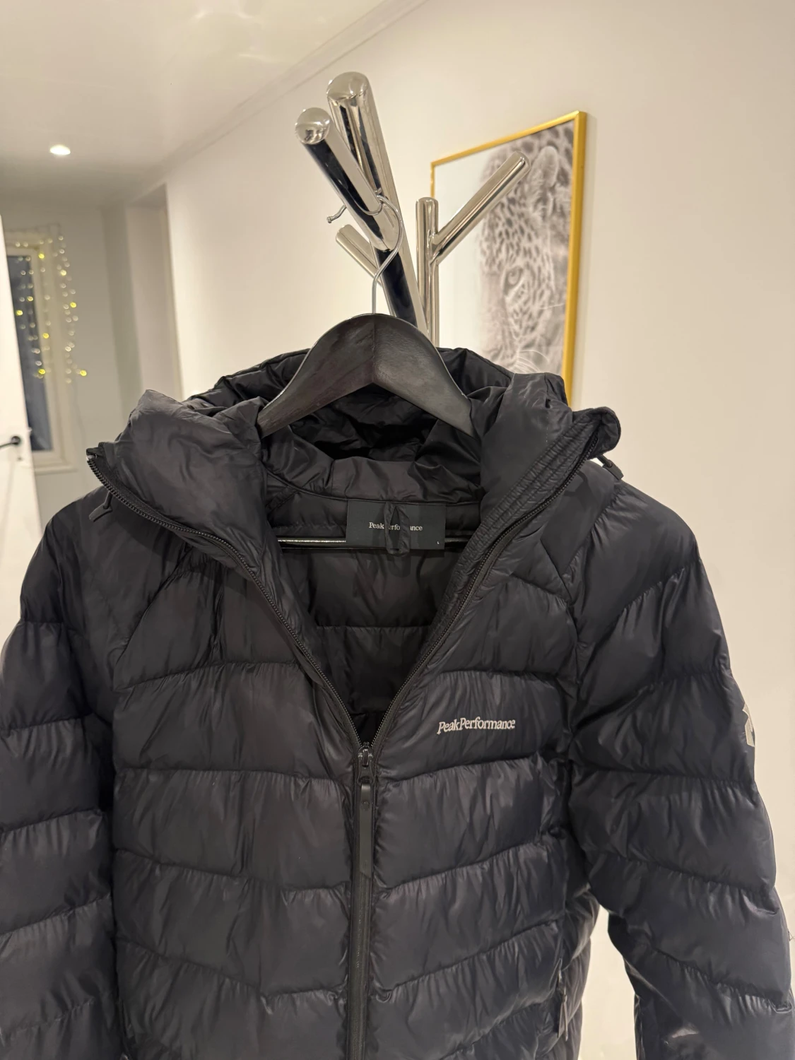 Peak Performance vinter jacka - 2