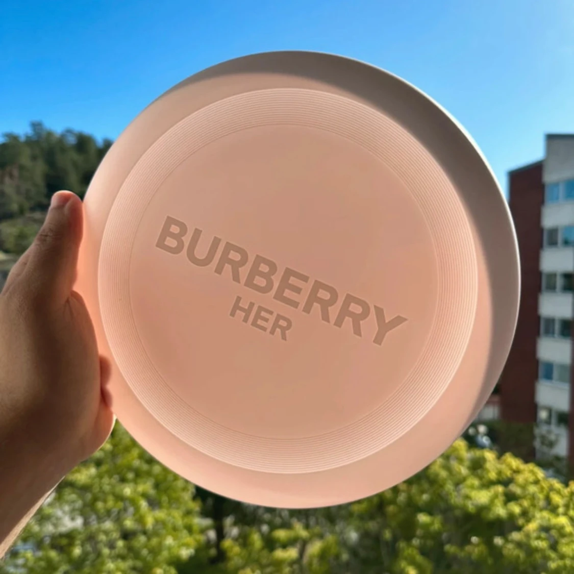 Burberry frisbee