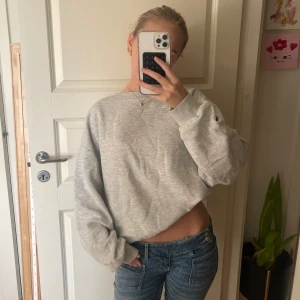 Ljusgrå sweatshirt - Enkel och stilren ljusgrå sweatshirt. Jätte skön och fin till hösten. Köpt på gina i strl L men den passar mig som vanligen brukar ha S.