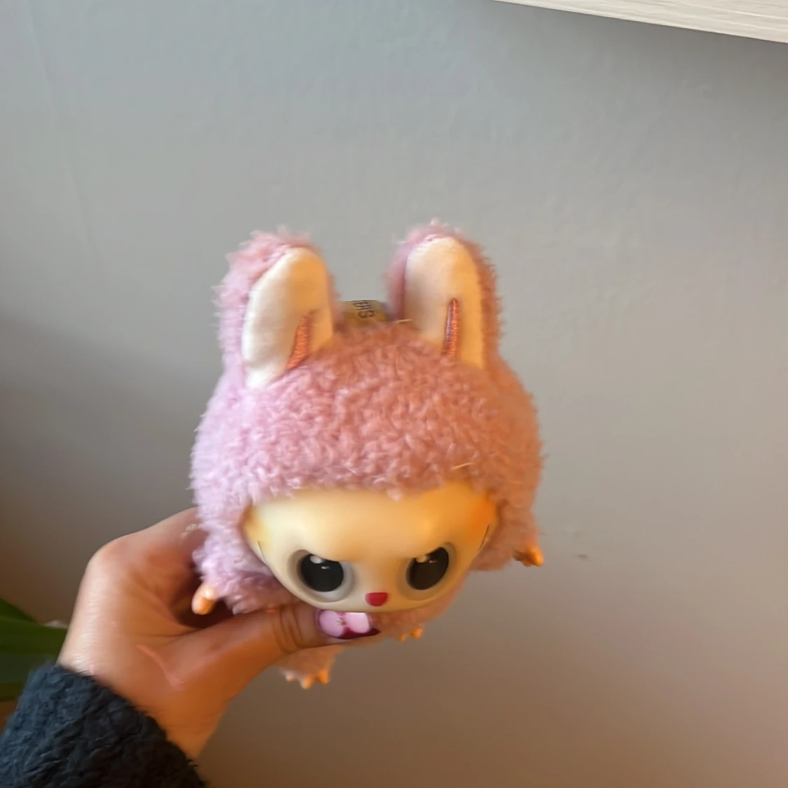 Lafufu lychee berry  - 4