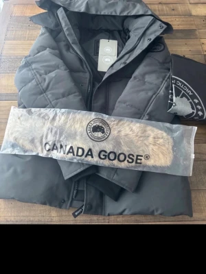 Grå Canada Goose Wyndham - Säljer en svart dunjacka från Canada Goose med huva och avtagbar pälskant. Jackan har quiltad design, dragkedja och knappar framtill samt två stora fickor. Klassisk patch på ärmen och riktigt varm för kalla dagar.