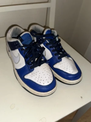 Nike Dunk Low blå och vita sneakers - Nike Dunk Low sneakers i blått och vitt med klassisk rund tå och snörning. Skorna har vit bas med blåa och mörkblå detaljer samt vit sula. Swoosh-logga på sidan och vadderad plös för extra komfort. Perfekta för dig som gillar streetwear och sportig stil.