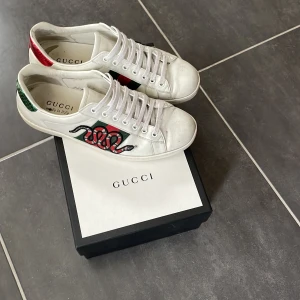 Gucci Ace snake - Säljer nu mina snygga Gucci Ace snake som jag har växt ur. Priset kan diskuteras vid snabb affär mvh Gabriel. 