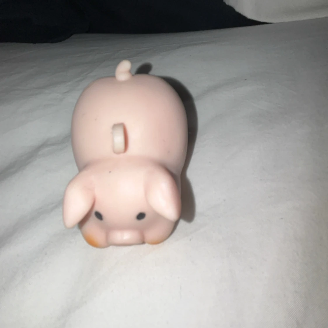 Skön gris med gump. - 3