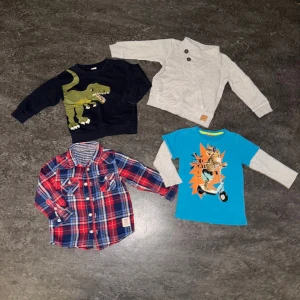 Klädpaket med tröjor pojke 92/98 - Alla plaggen är från lindex och i superfint skick utan hål och fläckar. Dinosaurier tröjan är i 92 resterande i 98. 