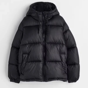 HM vinterjacka - Säljer denna super fina och snygga jackan från hm som är perfekt till vintern. Köpte förra året men använde bara några gånger då jag köpte en annan. OBS den har sminkfläckar på insidan vid hackan