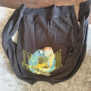 Svart sweatshirt med tryck från Weekday - Cool svart sweatshirt från Weekday i storlek M med färgstarkt tryck av en fågel. Tröjan har långärmad passform och är gjord i mjuk bomull med ribbade muddar vid ärmslut och nederkant.