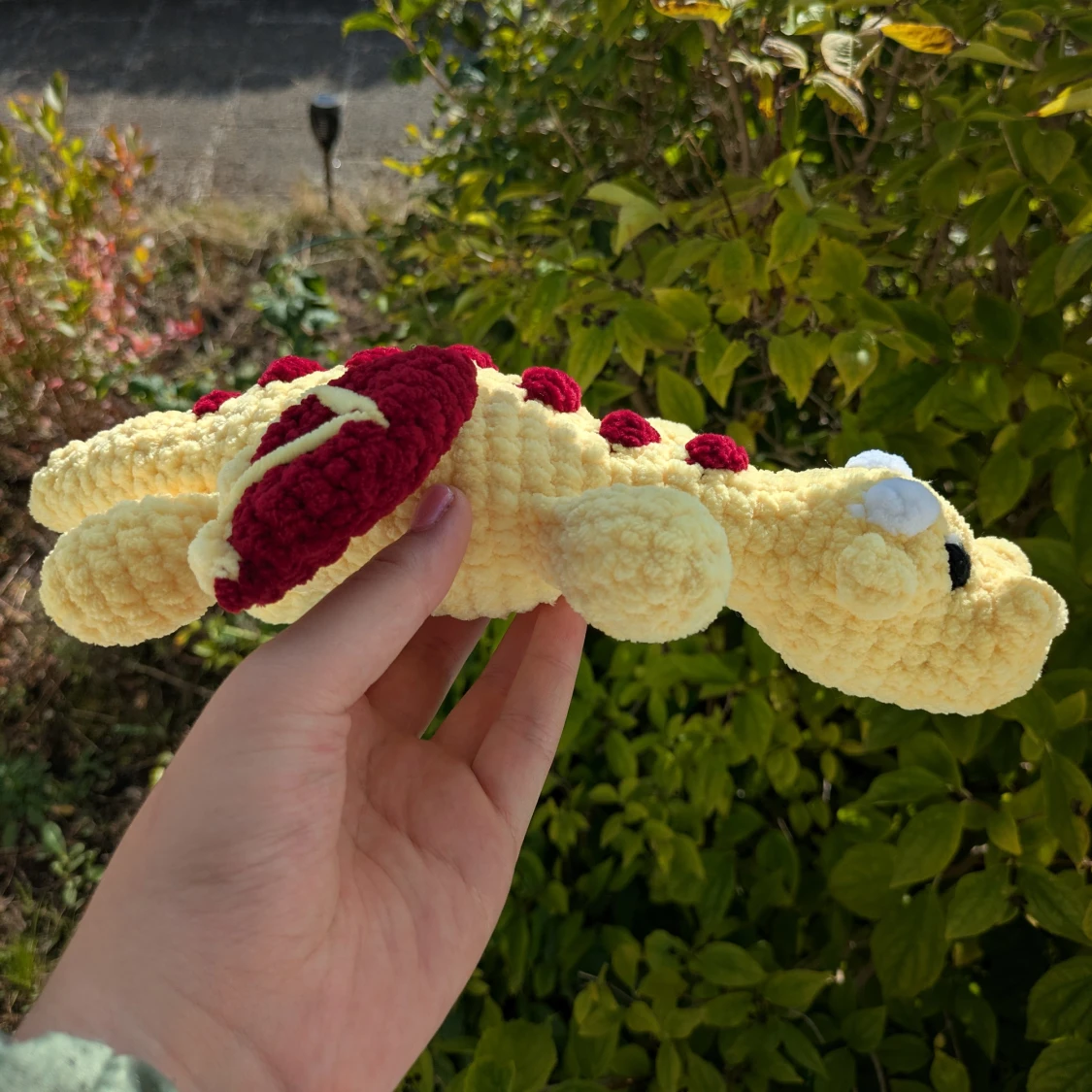 Drake 🐉❤️💛 - 1