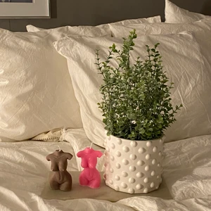 Hemmagjorda ljus i form av kvinnokropp  - Säljer dessa vackra kvinnokroppar som utöver brun och rosa finns i beige, röd, lila, blå och vit 🌸🌸 