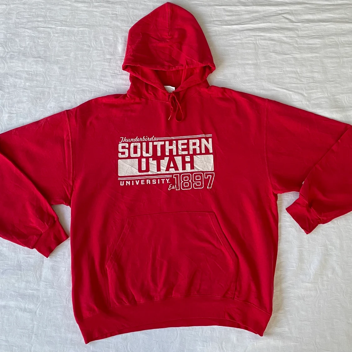 Champion Vintage Hoodie