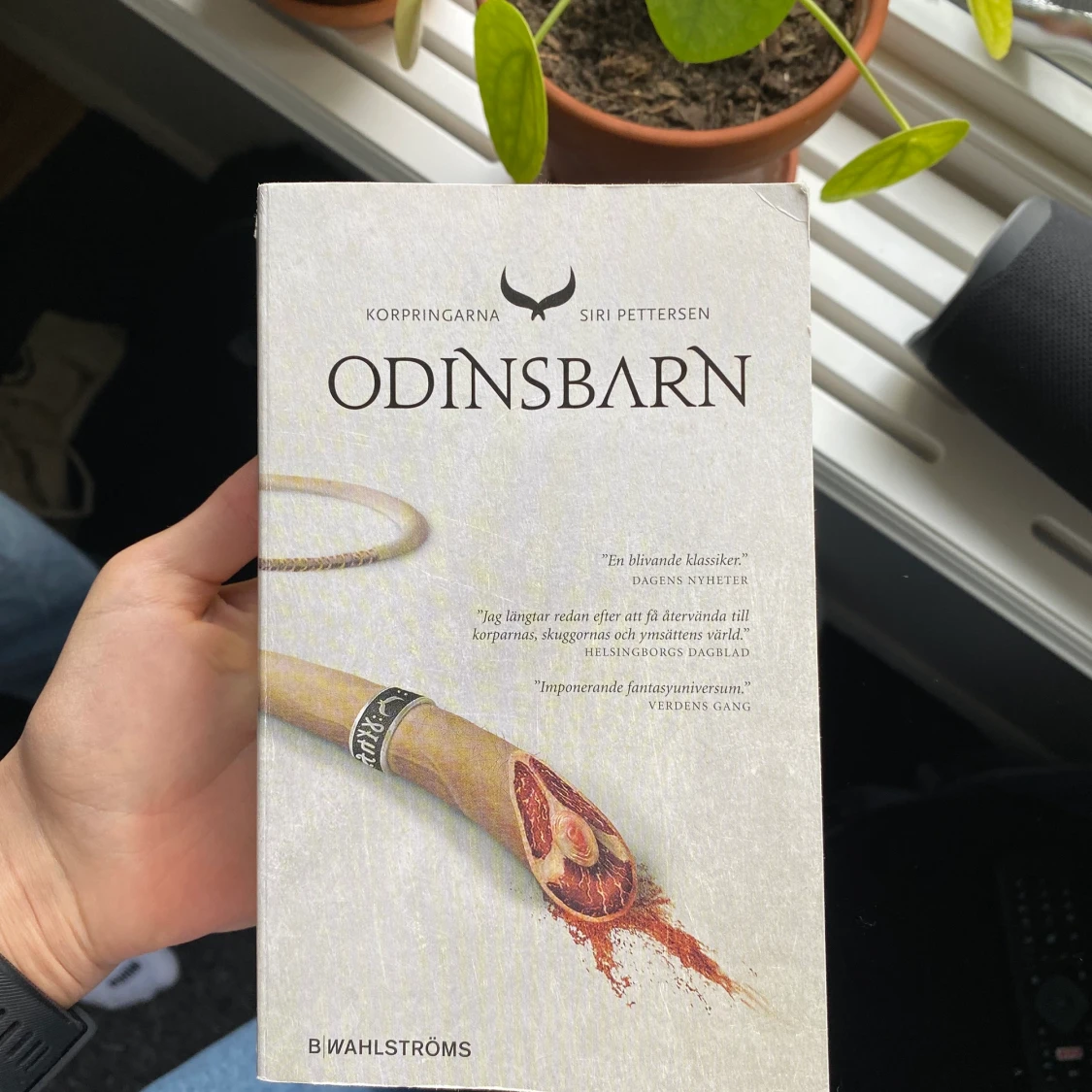 Bok- Odinsbarn