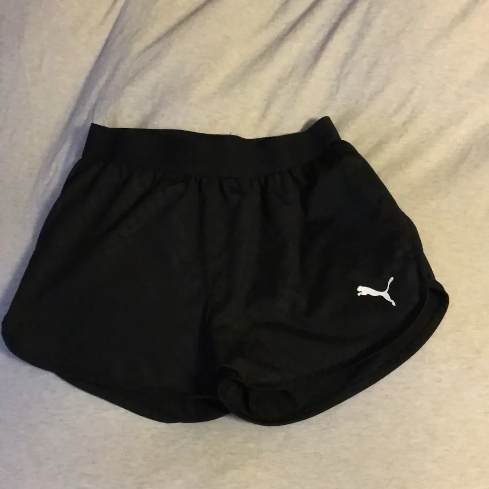 New shorts puma. xs. Shorts.