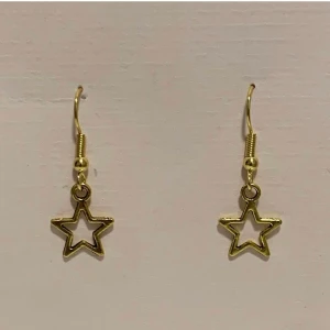 Stjärn örhängen  - Egengjorda