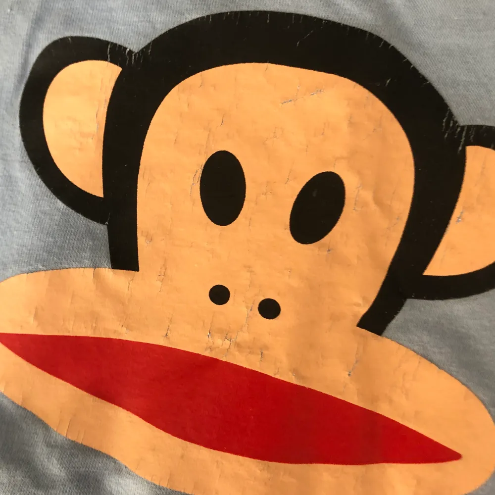 jättesöt ljusblå paul frank t-shirt🦋 kommer dock ej till användning längre:/ lite slitet i trycket som syns på andra bilden. väldigt liten i storlek så mer som en S. T-shirts.