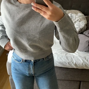 Sweatshirt från Monki  - Grå sweatshirt från Monki i fint skick, använd ett fåtal gånger! Tröjan är i xs o lite liten för mig som vanligtvis bär S/M