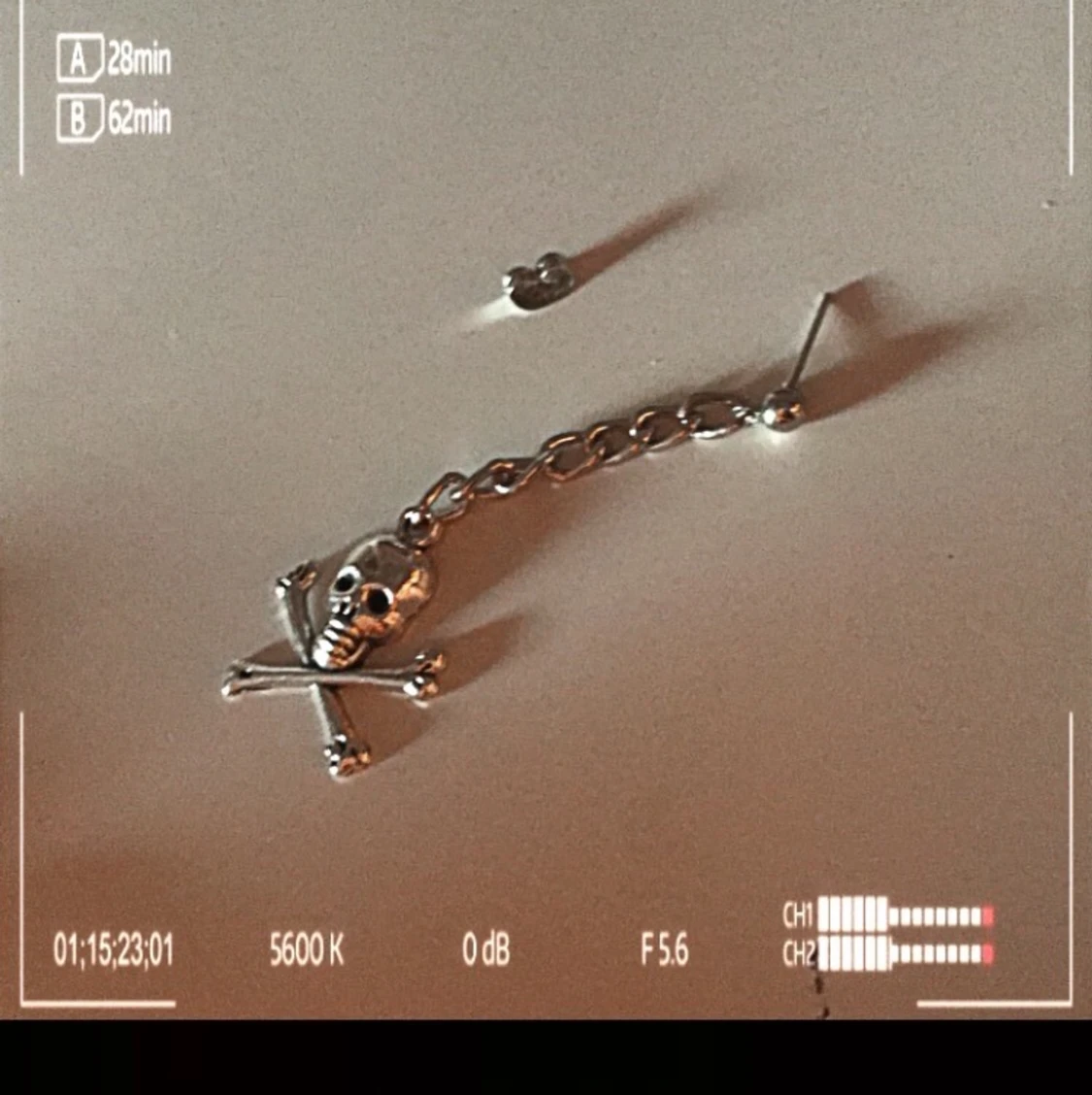 1pc skeloton earing for 20kr