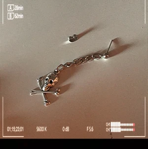 1pc skeloton earing for 20kr - This is a 1pc sceleton earing made out of metal and the chain is made out of alaminium so its not that heavy for ears 