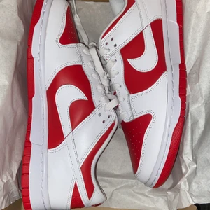 Nike dunks - Fresh shoes helt nya köpte idag kvitto finns perfekta sommar skor stl 41.5 men passar mig som har 39 utan problem då dunk är oftas små i stl 