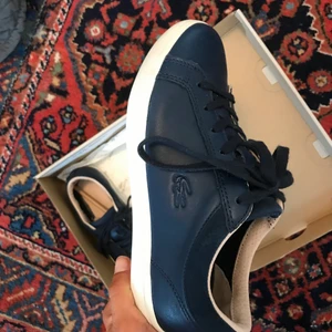 Oanvända Lacoste sneakers - Säljer dessa oanvända Lacoste sneakers i äkta skinn och storlek 36. Box ingår vid önskan. Storlek 36