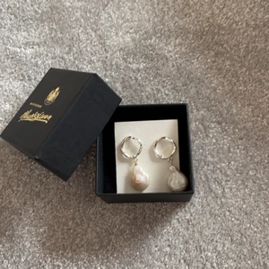 Örhängen  - Fick dessa fina örhängen från en kompis men kom aldrig till användning. Köpare står för frakt💗