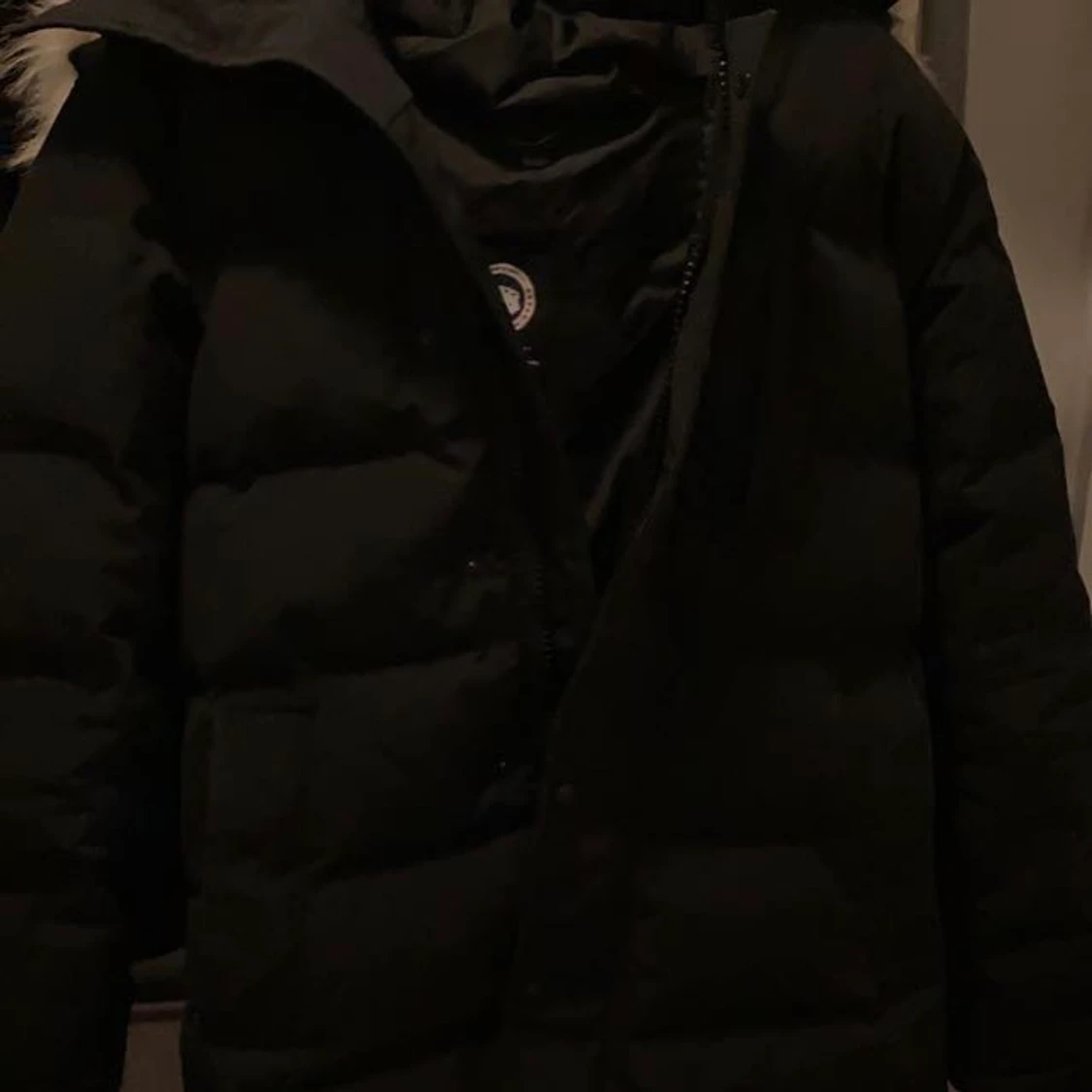Canada Goose  - 90