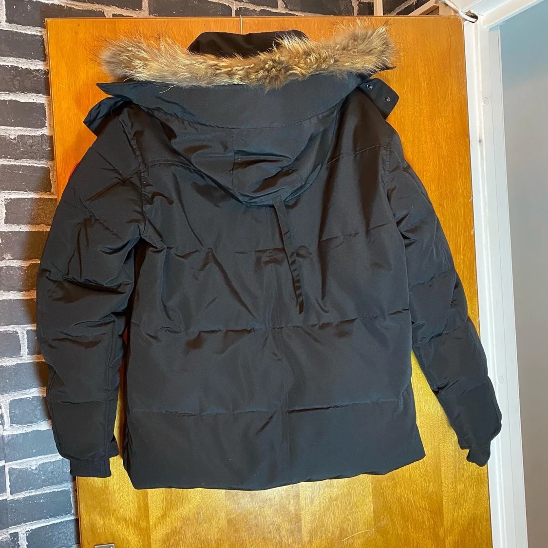 Canada goose i storlek m  - 90