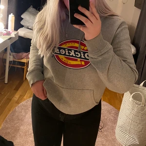 Grå Dickies tröja - En grå Dickies tröja. Det är lite sprickor i märket men annars fin. Storlek L men liten i storlek. 