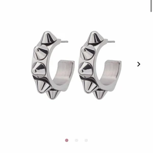 Edblad örhängen  - Säljer dessa örhängen då jag tröttnat. Inte använda ofta och är i riktigt bra skick. Nypris 299 kr och jag säljer för 170 + frakt ❤️❤️