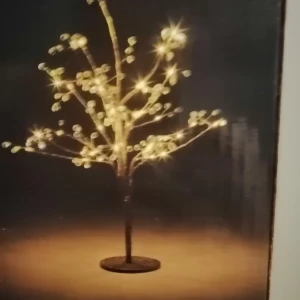 Fint deklaration  - 45