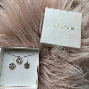Lily and rosé örhängen  - Nypris: 600kr fint skick⚡️❣️ 12kr frakt 