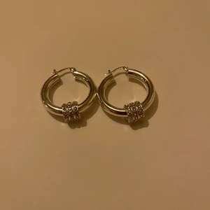 Örhängen - Säljer ett par örhängen. 