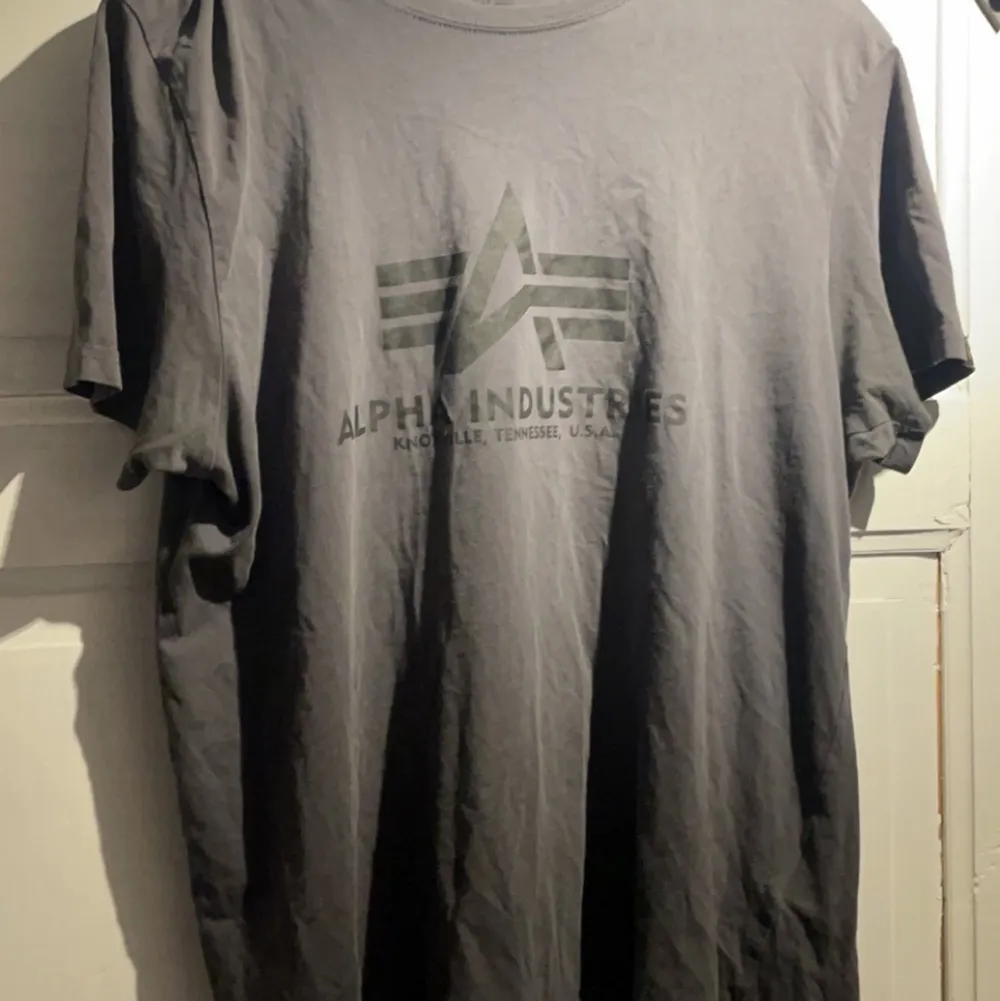 En grå Alpha t-shirt. . T-shirts.