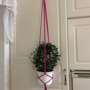 Ampel för blomkruka, rosa, längd 70 cm, passar för kruka 14-17cm, träning, pris 35 kr pp 14 kr