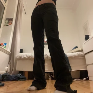 lågmidjade svarta byxor  - Raka svarta byxor med små detaljer. Köpta från sellpy :) lite långa på mig, är 165. Inga defekter!! Köpare står för frakt <3 Midjemått: 76 